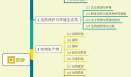 常州寺庙爆料视频大全集,揭秘视频大全集背后的神秘故事