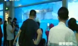 蓬莱新闻爆料事件,揭开真相背后的神秘面纱