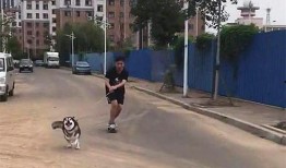 圈内爆料二哈百度云网盘,二哈百度云网盘神秘内容大揭秘