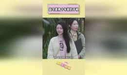 七点明星爆料视频大全集,揭秘娱乐圈幕后真相