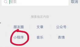 小程序爆料大全最新,揭秘最新热门应用动态与功能更新