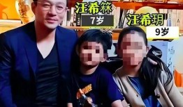 葛斯齐爆料汪小菲的视频,揭秘背后真相