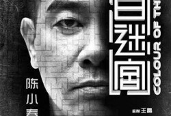 黑白迷宫在线观看国语,在线观看国语版，揭秘神秘迷宫之谜