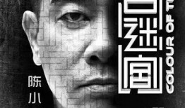 黑白迷宫在线观看国语,在线观看国语版，揭秘神秘迷宫之谜