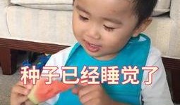 话唠吃瓜小说免费阅读,揭秘娱乐圈幕后故事，免费畅读独家秘闻