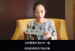 韩雪爆料贾冰事件视频,真相背后引人深思