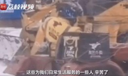 东北小哥爆料青龙视频播放,青龙视频播放背后的秘密